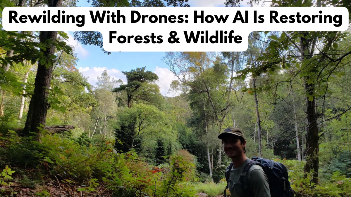 Rewilding With Drones: How AI Is Restoring Forests & Wildlife
