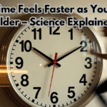 Why Time Feels Faster as You Grow Older – Science Explained