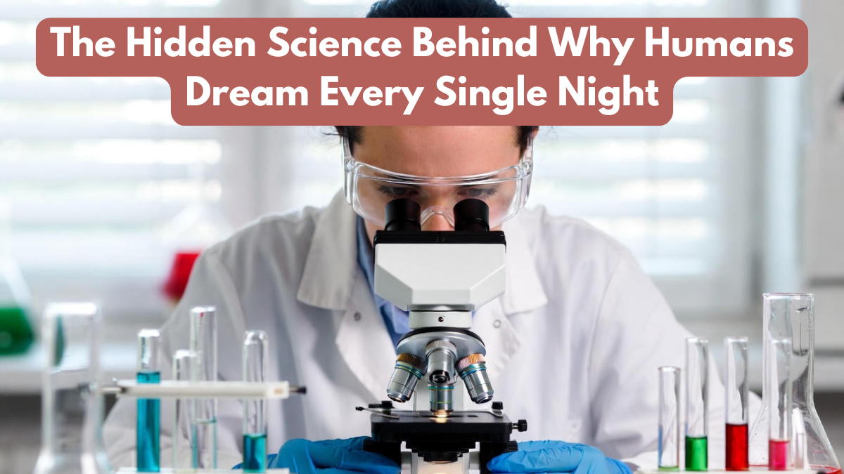 The Hidden Science Behind Why Humans Dream Every Single Night